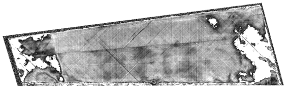 Ensayo tras preprocesado TNP