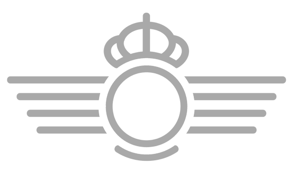 Ejército del Aire y del Espacio